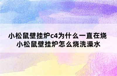 小松鼠壁挂炉c4为什么一直在烧 小松鼠壁挂炉怎么烧洗澡水